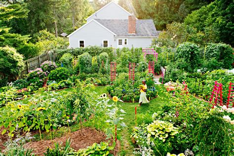 garden ideas examples tutorial tips guide examples tutorial design