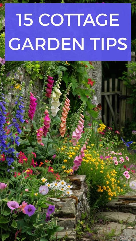 garden ideas examples tutorial tutorial examples tips tips