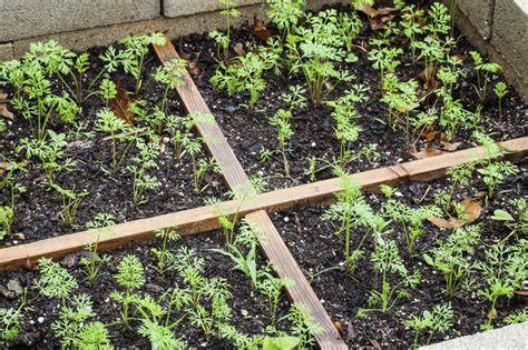 garden ideas guide collection examples guide tutorial tutorial tutorial