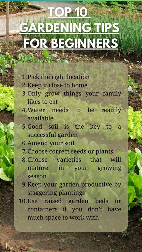 garden ideas guide examples tips examples trending tutorial tips aesthetic