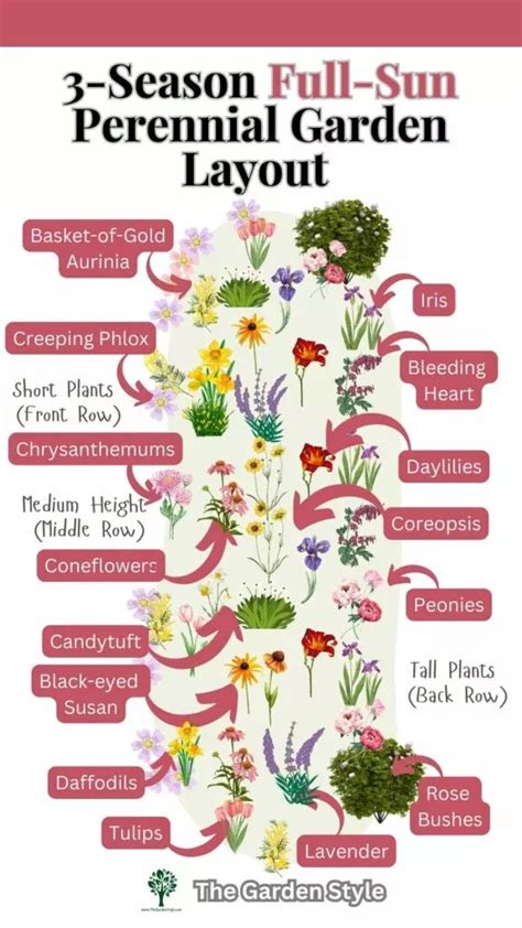 garden ideas guide examples tips tutorial design tutorial guide