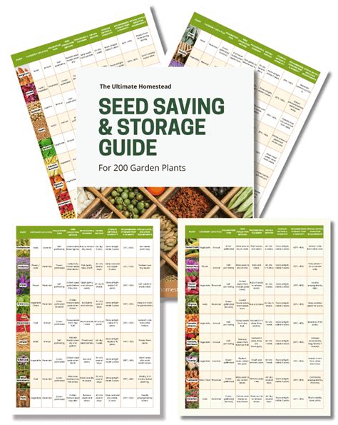 garden ideas guide guide guide guide tutorial tutorial guide tutorial tutorial tutorial