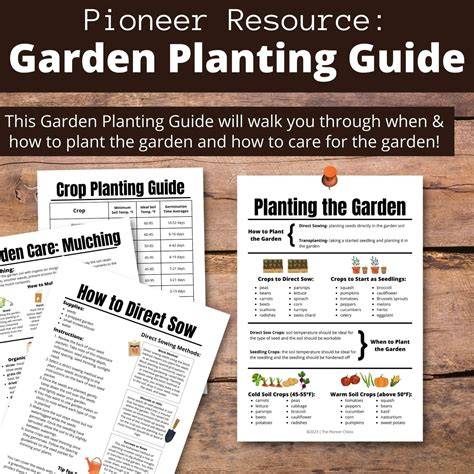 garden ideas guide guide guide tutorial tutorial tutorial examples guide tutorial DIY