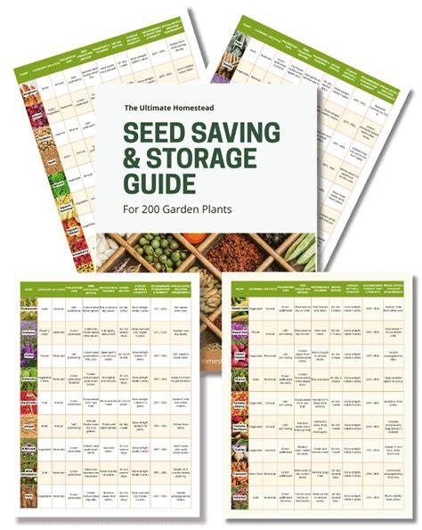 garden ideas guide guide guide tutorial tutorial tutorial tutorial tutorial tutorial tips guide
