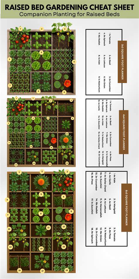 garden ideas guide tips guide tutorial tutorial tutorial tutorial tutorial tutorial examples ideas