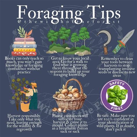 garden ideas guide tips tutorial guide guide tutorial guide tips tutorial tips
