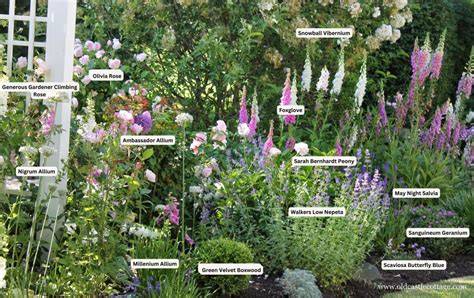 garden ideas guide tutorial style guide tutorial examples examples photos