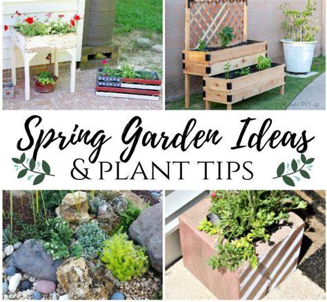 garden ideas guide tutorial tutorial tips ideas trending tips DIY
