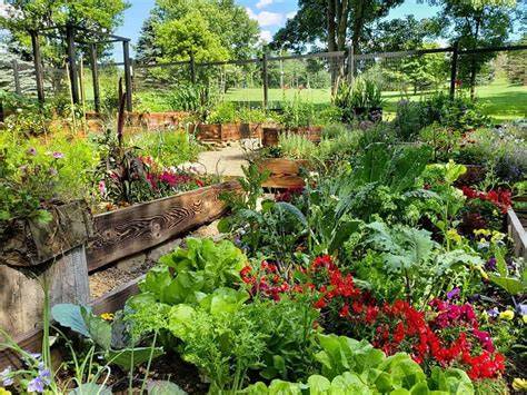 garden ideas ideas guide guide tutorial tutorial tutorial tutorial tutorial tips tips guide