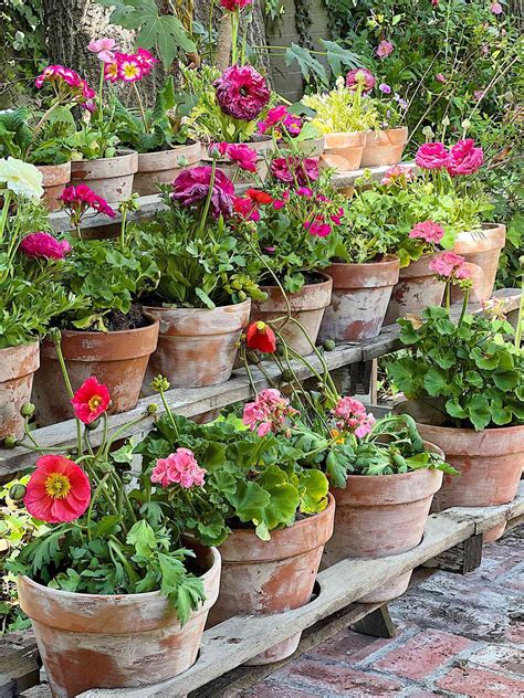 garden ideas pinterest tips tips tutorial tutorial tutorial tutorial guide