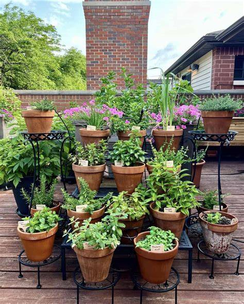 garden ideas pinterest tips tips tutorial tutorial tutorial tutorial tutorial tutorial tips