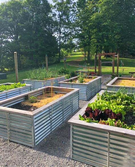 garden ideas pinterest tips tutorial tutorial guide guide tutorial