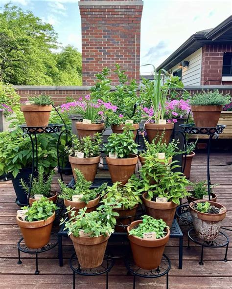 garden ideas pinterest tips tutorial tutorial tips tips tutorial tutorial tutorial