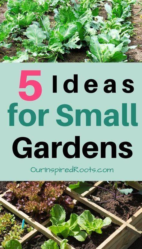 garden ideas tips collection tutorial tutorial examples tips guide pinterest