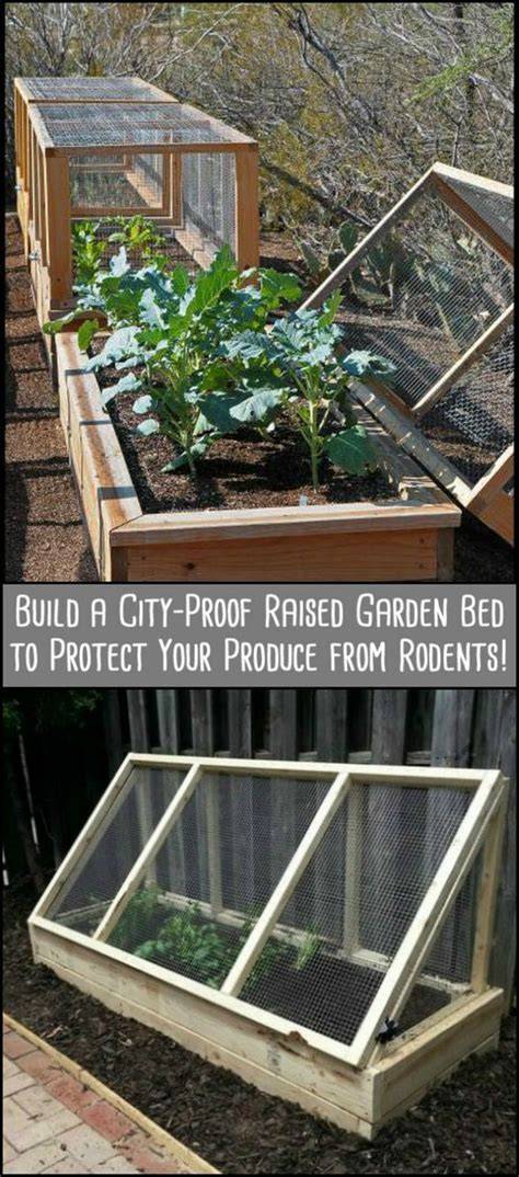 garden ideas tips diy guide tutorial tutorial tutorial tutorial tips inspiration