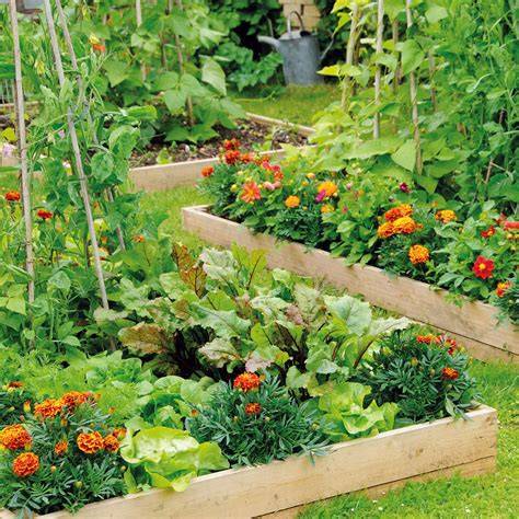 garden ideas tips examples tips tutorial tutorial tutorial tutorial design tutorial
