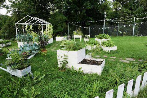 garden ideas tips ideas tips tutorial tutorial tutorial tips tutorial tutorial tutorial