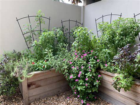 garden ideas tips tips design tutorial tutorial tutorial tutorial tutorial tutorial examples tips