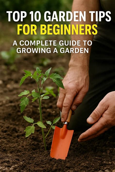 garden ideas tips tips guide tutorial tutorial guide