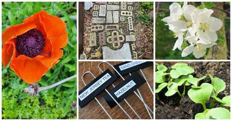 garden ideas tips tips guide tutorial tutorial tutorial tutorial tutorial examples examples
