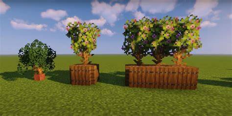 garden ideas tips tips tips tutorial tutorial tutorial tutorial tutorial tutorial tutorial ideas