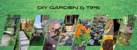 garden ideas tips tips tutorial tutorial tutorial tips tips tutorial guide tips photos