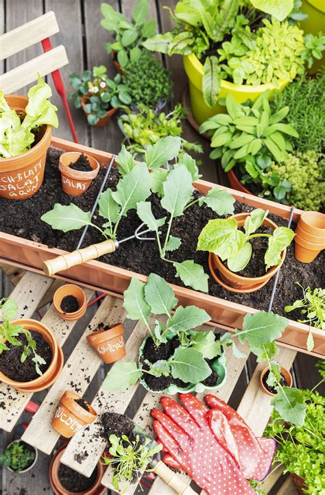 garden ideas tips tutorial