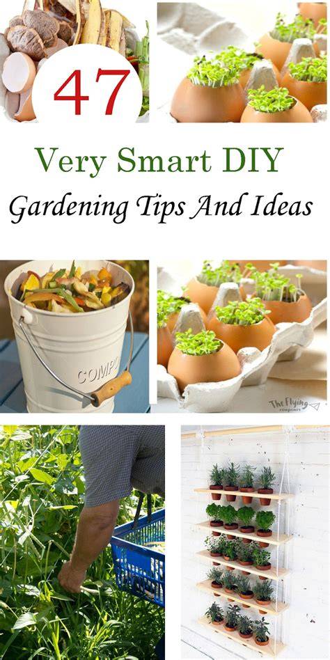 garden ideas tips tutorial examples pinterest tips collection DIY