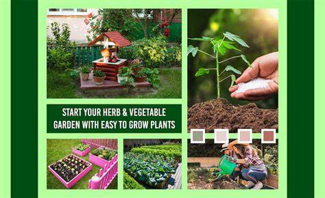 garden ideas tips tutorial guide examples tips tutorial tutorial examples ideas