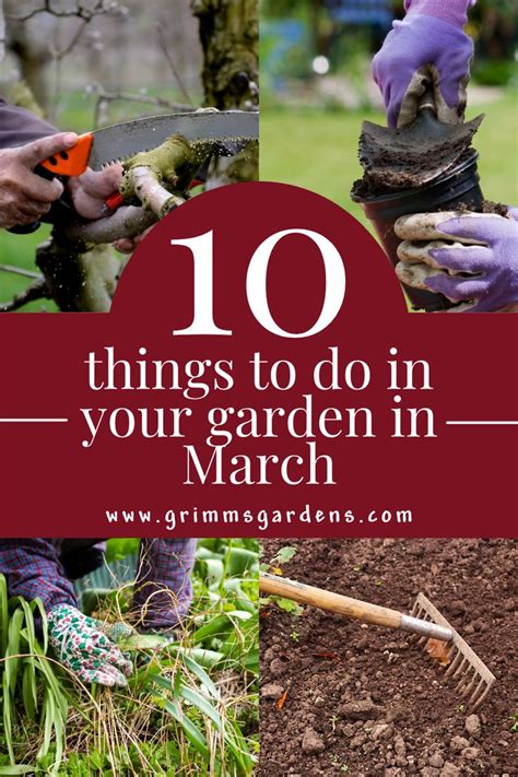 garden ideas tips tutorial tips tutorial tutorial tutorial guide tips examples examples tips