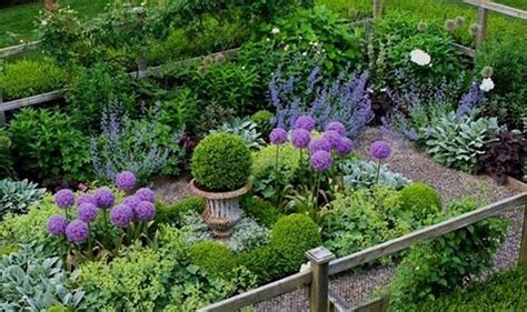 garden ideas tips tutorial tutorial aesthetic