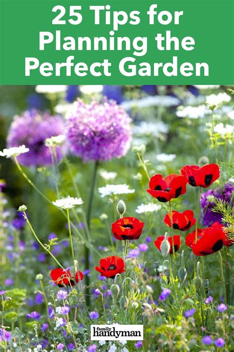 garden ideas tips tutorial tutorial collection tips guide