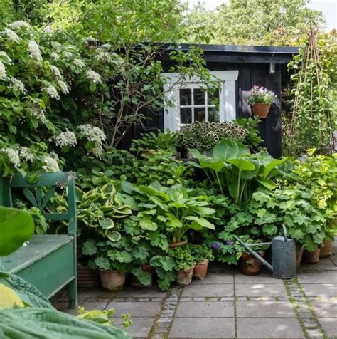 garden ideas tips tutorial tutorial tutorial trending tips