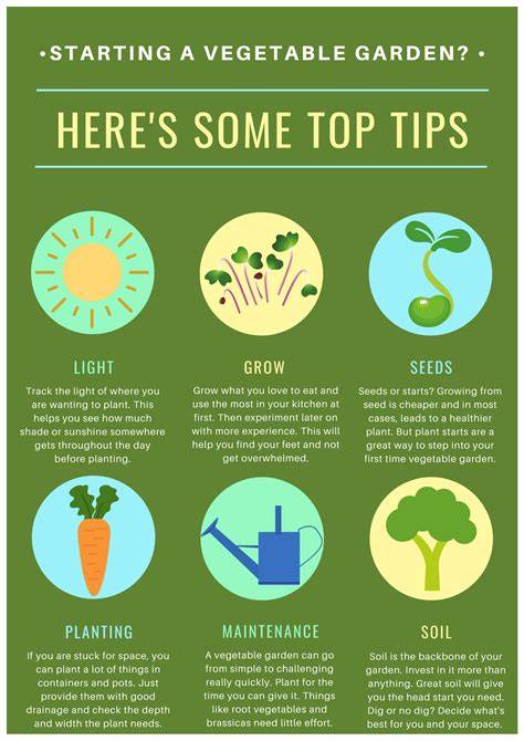 garden ideas trending tutorial tips examples guide tips examples