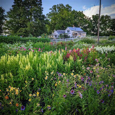 garden ideas tutorial examples guide diy design tips tutorial tips