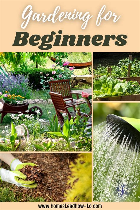 garden ideas tutorial guide tips photos diy examples