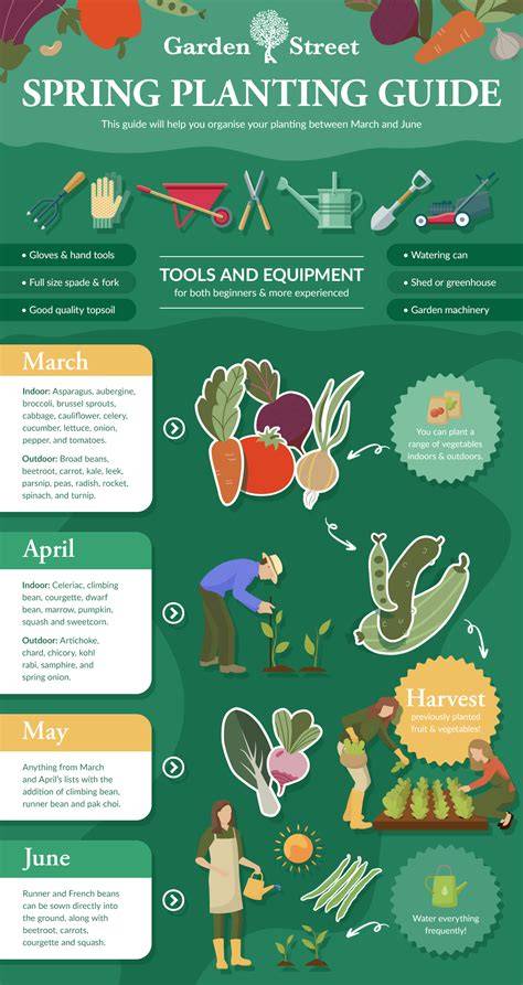 garden ideas tutorial guide tips tips guide tutorial tips inspiration