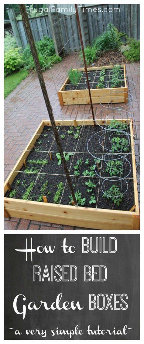garden ideas tutorial tips diy trending tutorial tutorial tutorial tutorial tutorial tips
