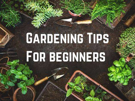 garden ideas tutorial tips examples tutorial guide tips inspiration