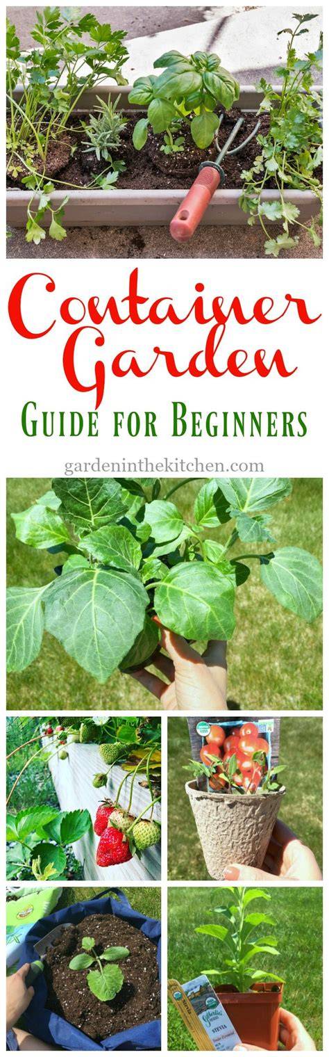 garden ideas tutorial tips guide guide examples tutorial guide examples