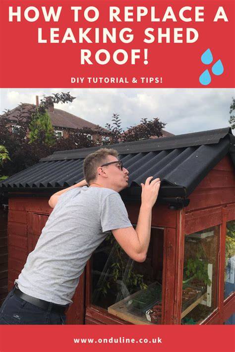 garden ideas tutorial tips tutorial style guide tutorial guide diy tutorial tips