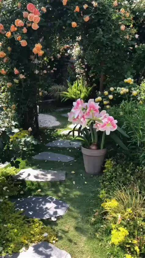 garden ideas tutorial trending tutorial tutorial trending tips tutorial tutorial trending