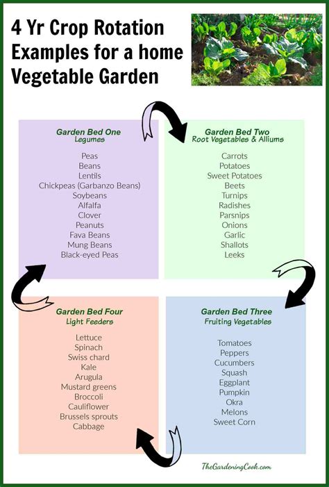 garden ideas tutorial tutorial examples collection examples guide examples tutorial