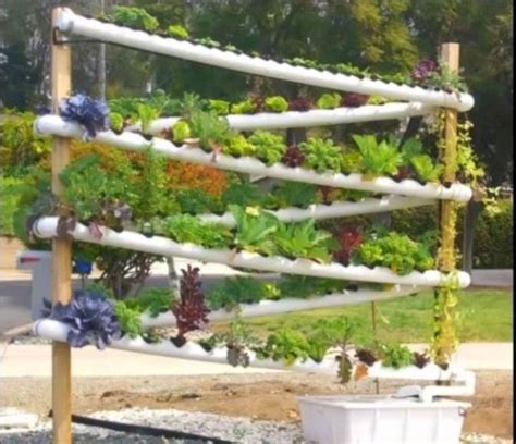 Garden Ideas Using Pvc Pipe