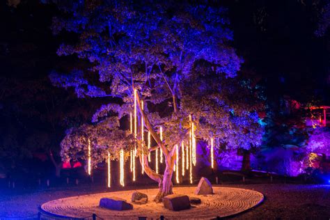Garden Lights Event