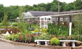 garden nurseries in cheshire