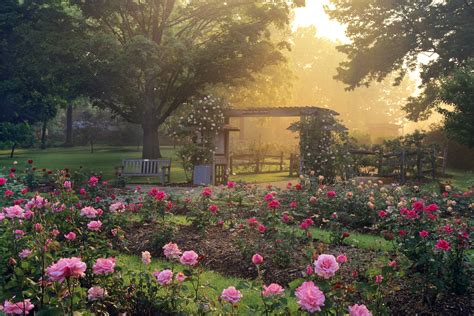 garden of roses columbus ohio