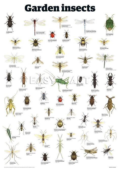 Garden Pest Identifier