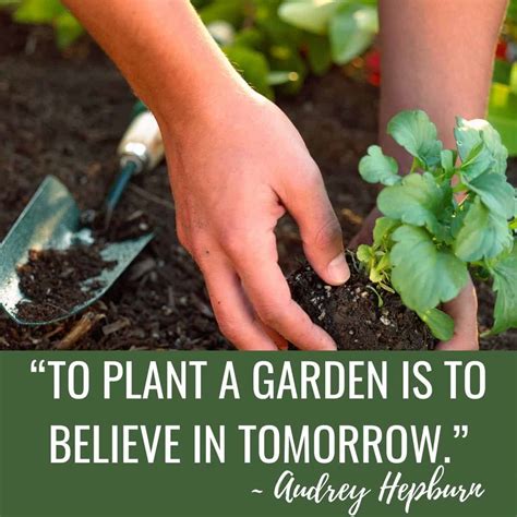 garden quote