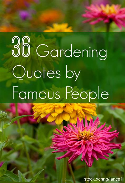 Garden Quotes Quote